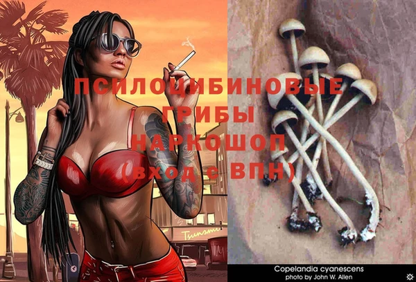 крисы Абдулино